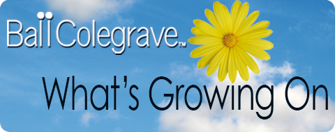 Ball Colegrave - What's Growing On
