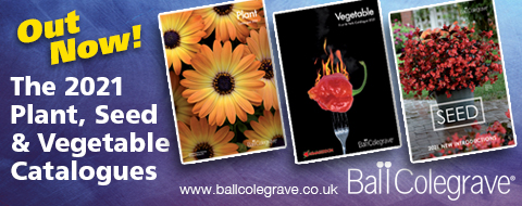 Ball Colegrave - What's Growing On