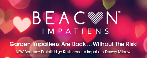 Ball Colegrave - What's Growing On